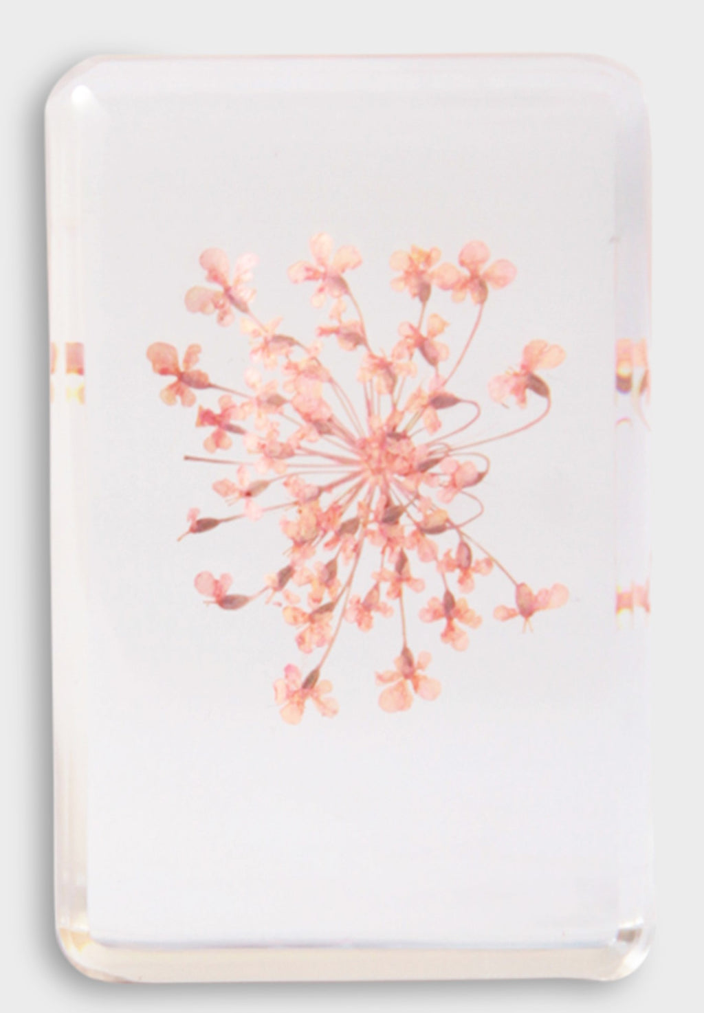 &KLEVERING WILDFLOWER KOCKA MALA