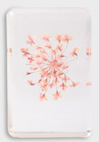 &KLEVERING WILDFLOWER KOCKA MALA