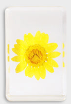 &KLEVERING WILDFLOWER KOCKA MALA