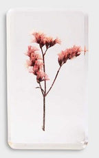 &KLEVERING WILDFLOWER KOCKA VELIKA