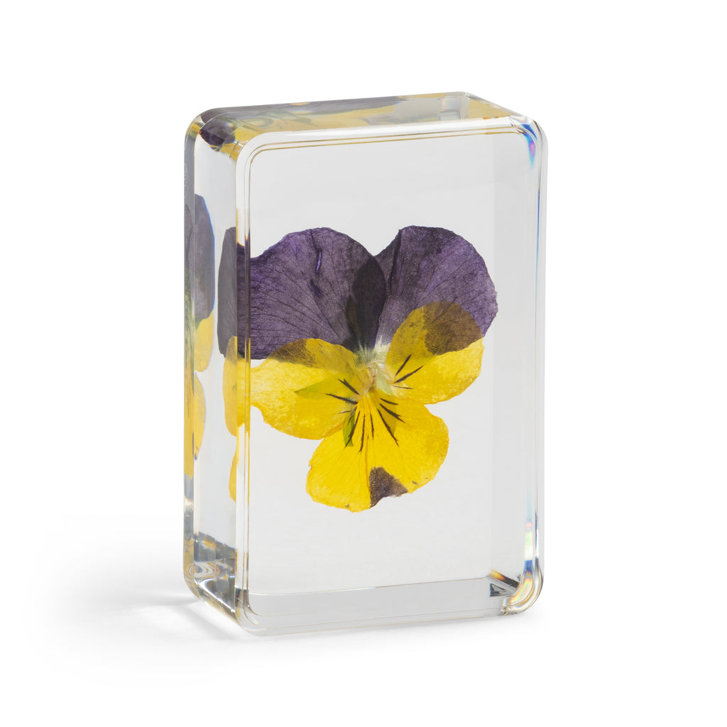 &KLEVERING MAĆUHICA KOCKA