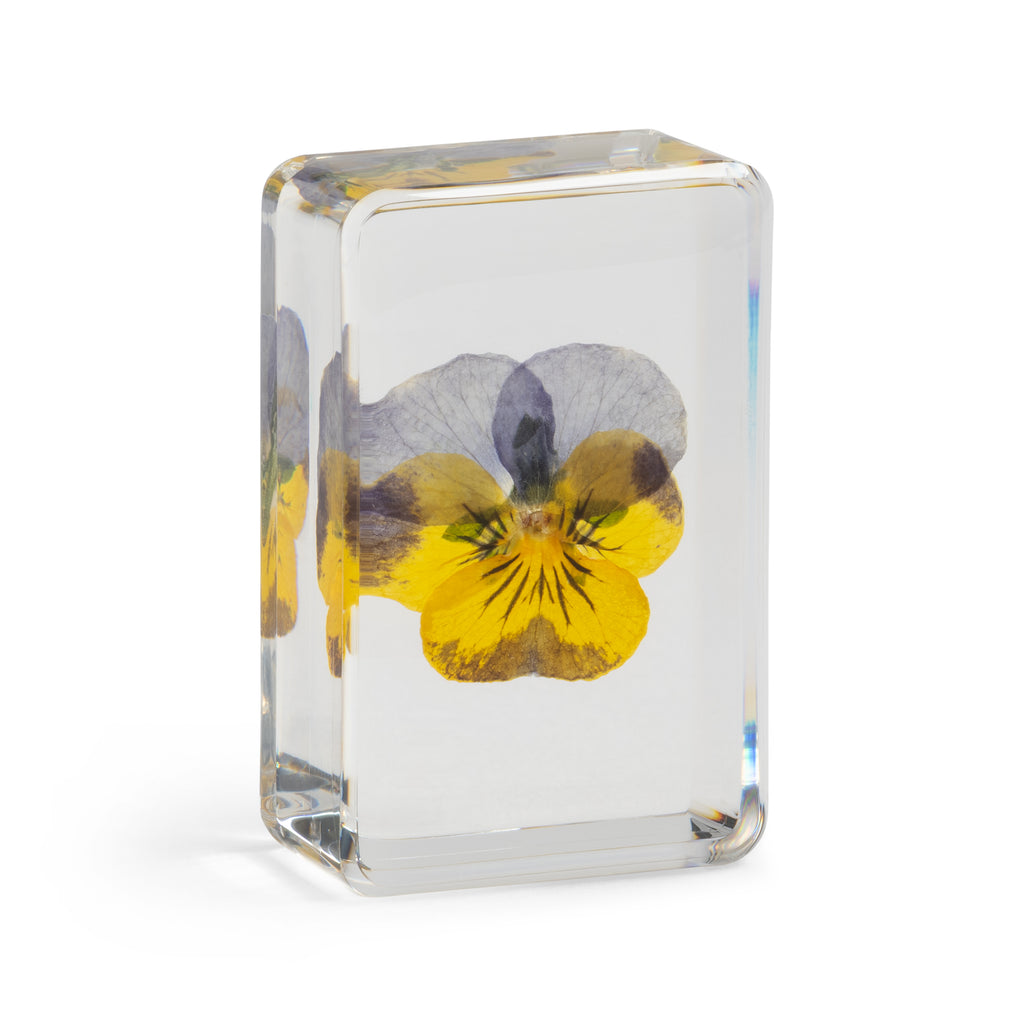 &KLEVERING MAĆUHICA KOCKA