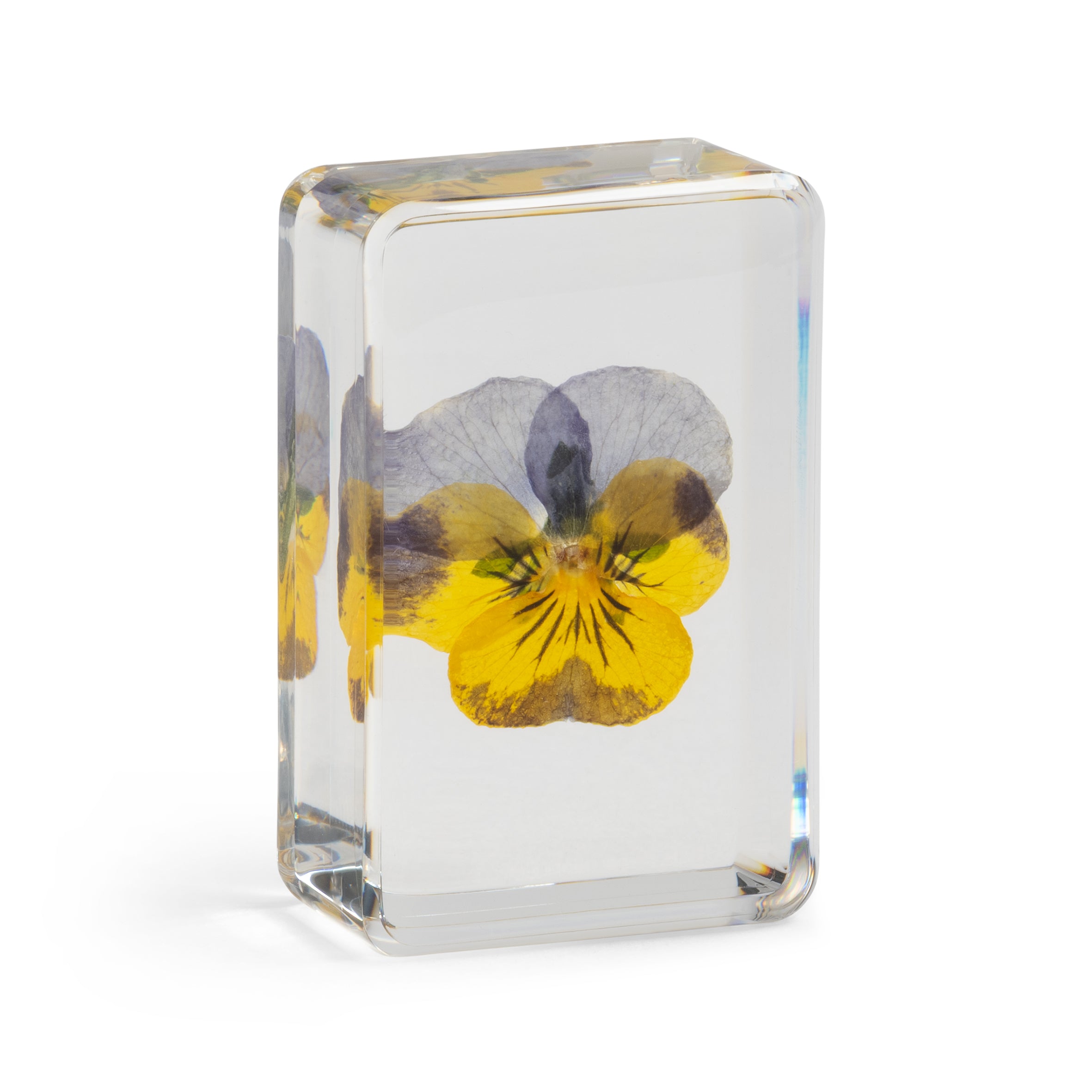 &KLEVERING MAĆUHICA KOCKA