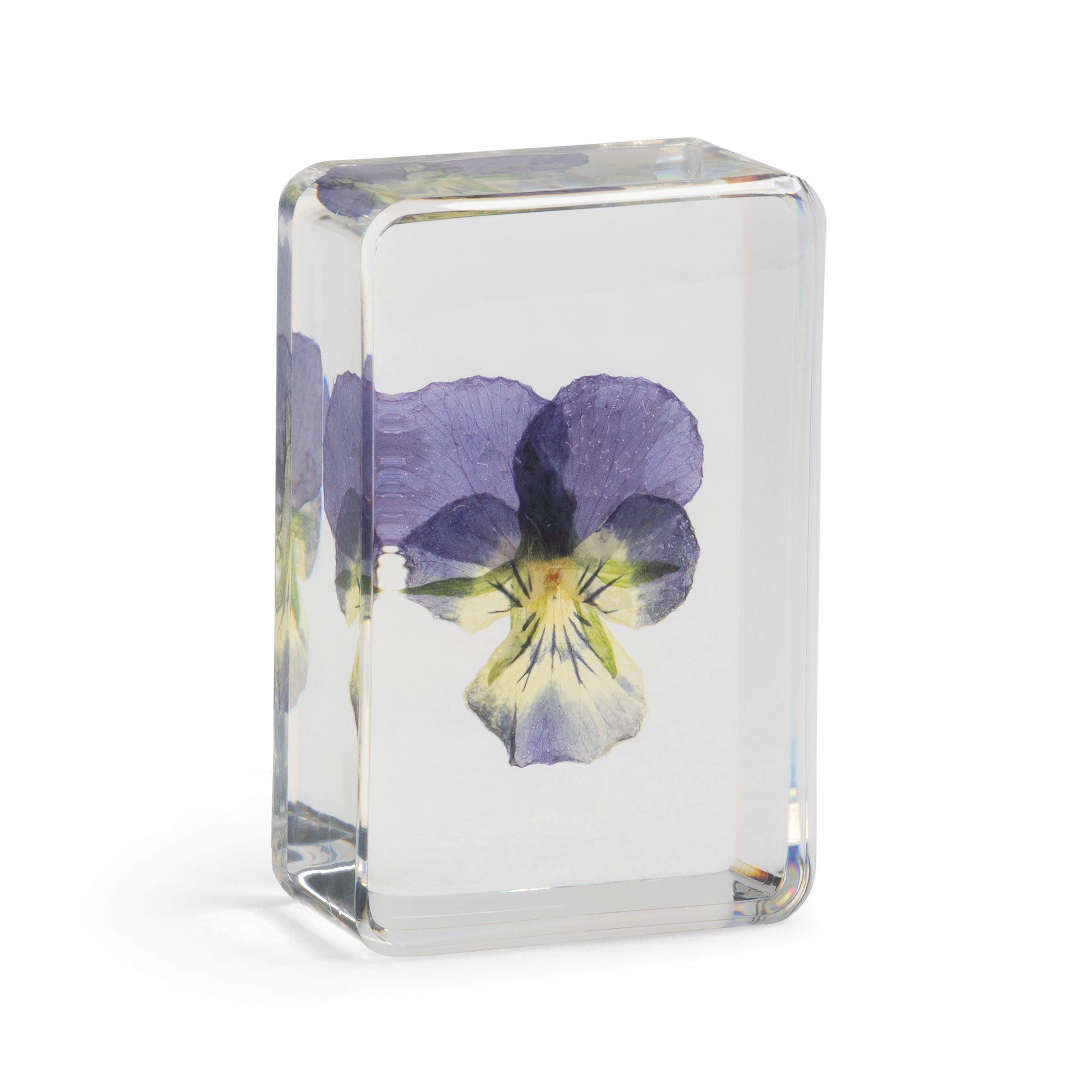 &KLEVERING MAĆUHICA KOCKA