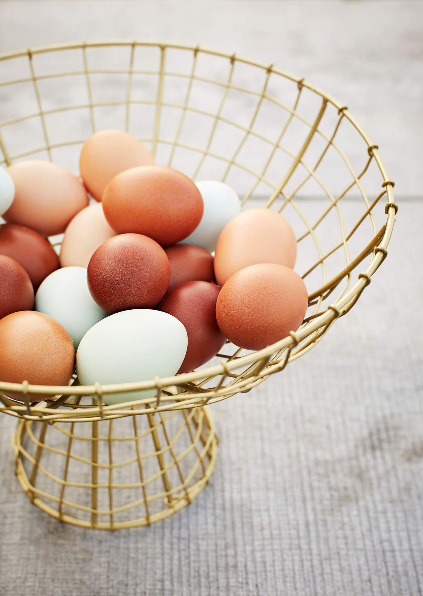 MADAM STOLTZ KOŠARA