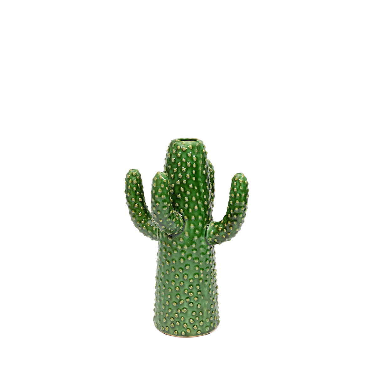 SERAX CACTUS VAZA