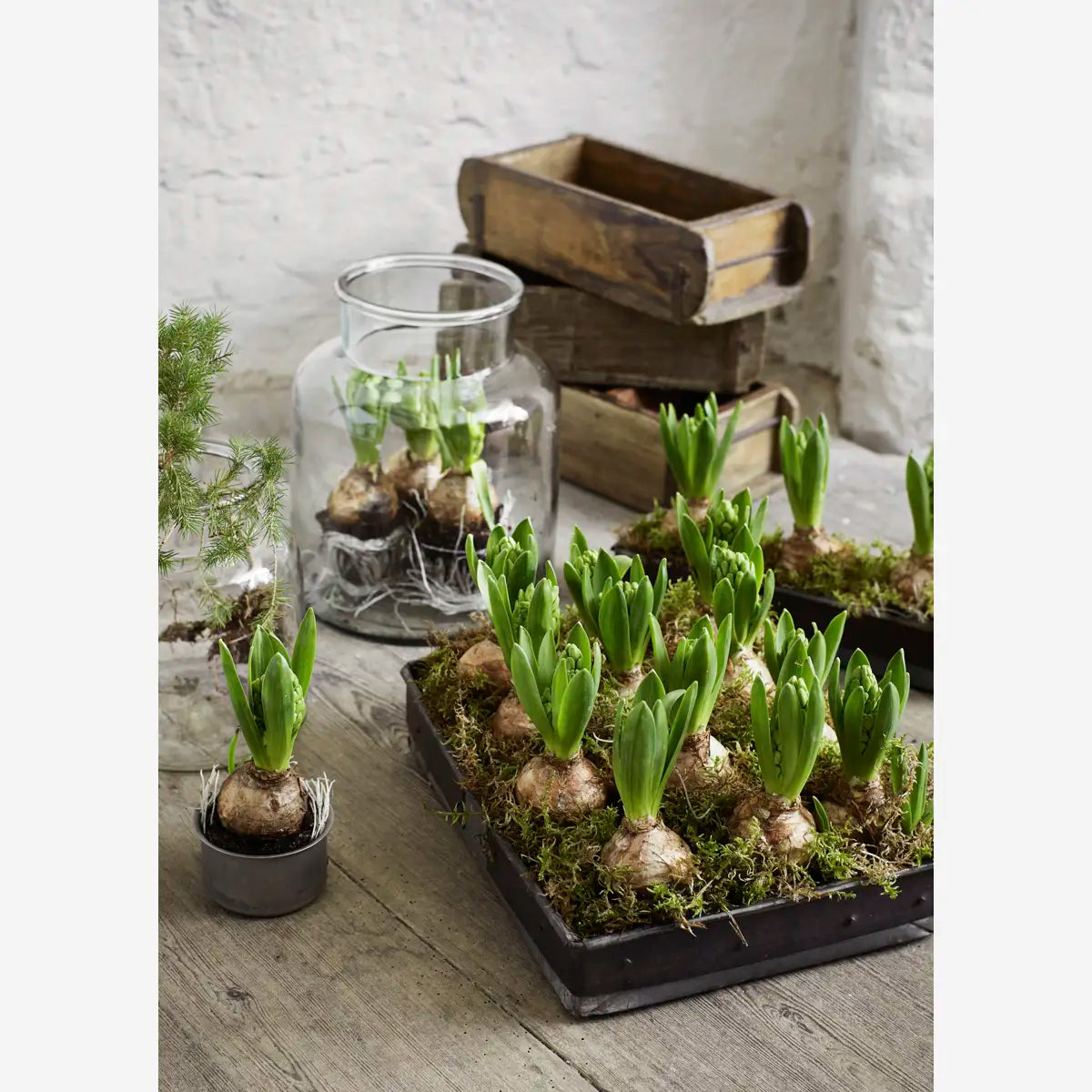 MADAM STOLTZ STAKLENA VAZA